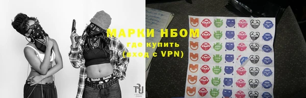 трава Ельня