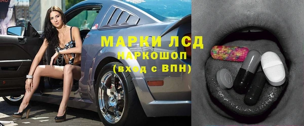 трава Ельня