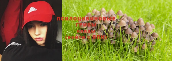 трава Заволжск