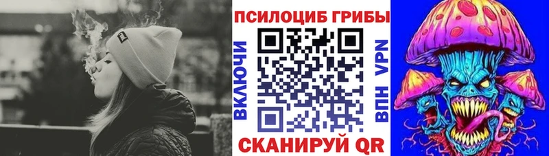 KRAKEN   Каменск-Шахтинский  Псилоцибиновые грибы Cubensis 
